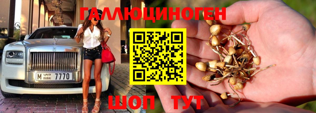 Галлюциногенные грибы Psilocybe  сколько стоит  Асино  Вход с VPN 